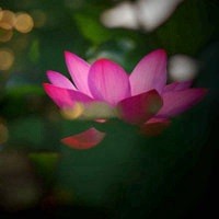 静候缘来